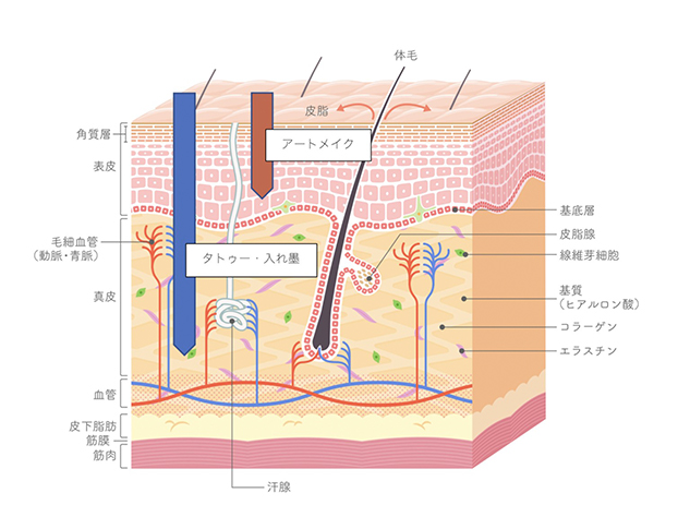 医療アートメイクとは